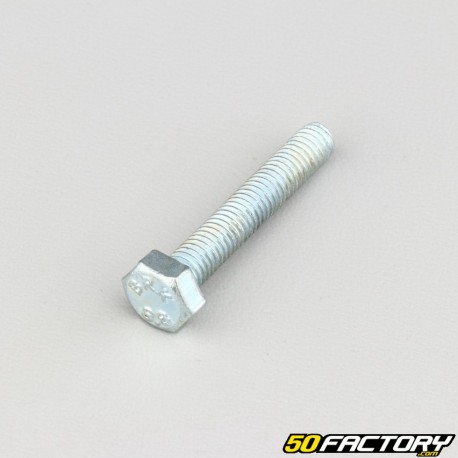 Tornillo de cabeza hexagonal de 6x35 mm clase 8.8 (por unidad)
