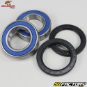 Kawasaki KFX rear wheel shaft bearings and seals, Suzuki LTZ, Arctic Cat DVX 400 ... All Balls