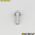 Piastra base testa esagonale vite 6x20 mm originale Sherco (all&#39;unità)