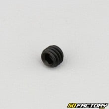 6x5 mm headless screw with pointed end (single)