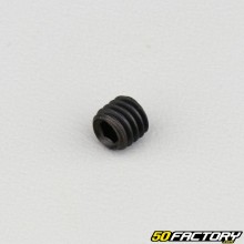 6x6 mm headless screw with pointed end (single)