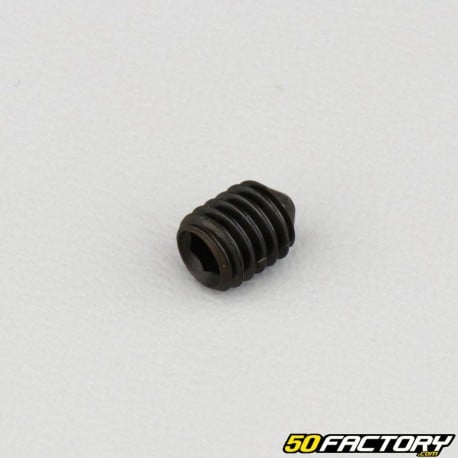 6x8 mm headless screw with pointed end (single)