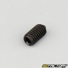 6x12 mm headless screw with pointed end (single)