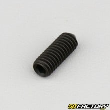 6x16 mm headless screw with pointed end (single)