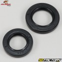 Front wheel bearings and seals Yamaha YFZ 450, YFM Raptor 660 ... All Balls