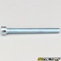 Tornillo de 8x80 mm cabeza BTR clase 8.8 (simple)