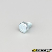 Parafuso 8x10 mm de cabeça hexagonal classe 8.8 (por unidade)