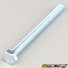Vite 8x90 mm testa esagonale classe 8.8 (per unità)