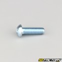8x25 mm viti a testa tonda BTR classe 10.9 (per unità)