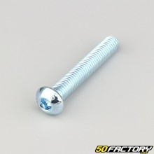 Tornillos de 8x50 mm cabeza BTR abombada clase 10.9 (por unidad)