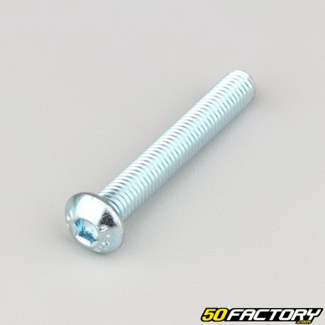Parafusos 8x55 mm de cabeça redonda Classe BTR 10.9 (por unidade)