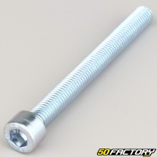 Tornillo de 10x100 mm cabeza BTR clase 8.8 (por unidad)