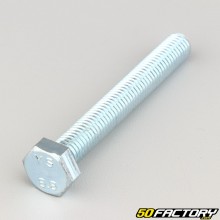 10x75 mm screws hexagon head class 8.8 (per unit)