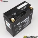 Batería Yuasa YT14B 12V 12.6Ah ácido libre de mantenimiento Yamaha FZS 1000, XJR 1300 ...