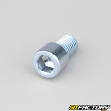12x20 mm screw BTR head class 8.8 (per unit)