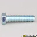 12x50 mm screw hex head class 8.8 (per unit)