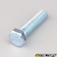 Schraube Sechskantkopf Klasse 12 55x8.8 mm (einzeln)