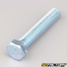 Schraube Sechskantkopf Klasse 12 70x8.8 mm (einzeln)