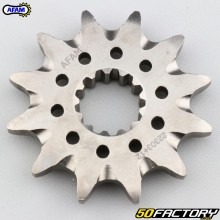 12 tooth 520 box output sprocket Beta ALP 200, Kawasaki KLX 400 ... Afam SC (anti-mud)