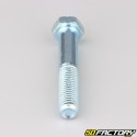 Tornillo de cabeza hexagonal de 12x70 mm rosca parcial clase 8.8xXNUMX (por unidad)