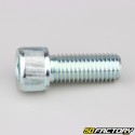 14x35 mm vite BTR testa classe 8.8 (singola)