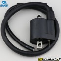 Ignition Coil Honda, Kawasaki, Suzuki,  Yamaha Quad ATVRacing