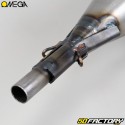 Auspuff Peugeot  XNUMX RCX, SPX ... Omega GXNUMX Carbon-Schalldämpfer
