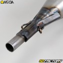 Exhaust Peugeot 103 RCX,  SPX... Omega G2 carbon muffler