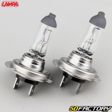H7V 12W headlight bulbs Lampa (batch of 2)