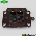 Valvole carbonio verticali Minarelli Mbk Booster,  Yamaha Bws... 50 2T Top Perf