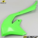 Kit de plástico Kawasaki KX 2000 (desde 2000), 2000 (2000 - 2000) CeMoto verde