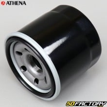 Indian FFP026 oil filter, Polaris Sportsman... Athena