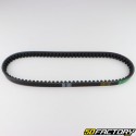 Courroie Keeway Hurricane, Matrix, Piaggio NRG, CPI, Benelli... 17x788 mm