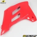 Plastic kit Gas Gas EC 50 Rookie (2001 - 2005), 125, 250, 300 (2005 - 2006) CeMoto red and white