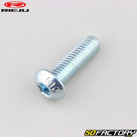 Vite 8x25 mm testa bombata BTR originale Rieju (Originariamente)