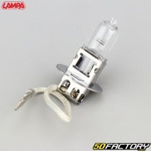 Headlight bulb H3 12V 100W Lampa