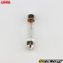 Bombillas doble casquillo sofito SV8.5-8 12V 10W 44 mm Lampa (lote de 2)