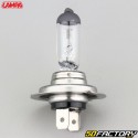 Headlight bulb H7 12V 100W Lampa