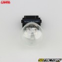 Bombillas de luz P27/7W 12V W2.5x16Q Lampa (lote de 2)