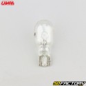 W16W 12V 16W light bulbs Lampa (batch of 2)
