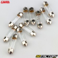 Shuttle bulbs SV8.5-8 12V 5W 35 mm Lampa (batch of 10)