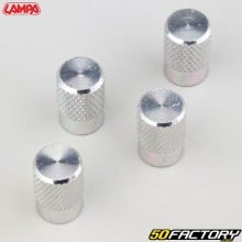 Bouchons de valves Lampa Sport-Cap gris (lot de 4)
