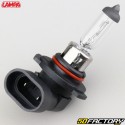 Bombilla para faro H10 12V 42W Lampa