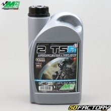 Olio motore 2T Minerva T.SR Sintesi motociclistica 1L