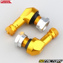 Ariete 11.3 mm aluminum angled valves gold