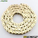 530 reinforced chain (o-rings) 120 links Sunstar RTG1 gold