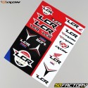 Stickers LCR Honda Team 29x21.5 cm (planche) Ixon