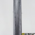 Bicycle tire 700x23C (23-622)