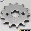 Sprocket 13 teeth 420 TNT Motor City, Skyteam Dax  50 ... Afam