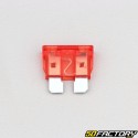 Standard flat fuse 10A red